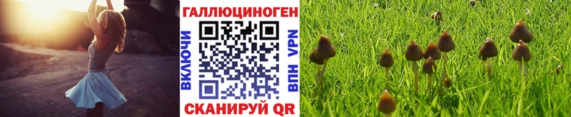 Псилоцибиновые грибы Magic Shrooms  Анадырь 