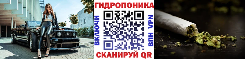 где продают   Анадырь  Марихуана Amnesia 